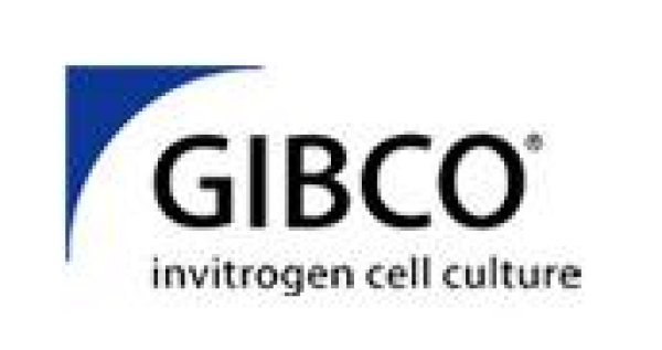 画像1: GIBCO　Distilled Water 1000ml   GIBCO (1)