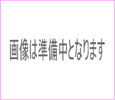 ART用異物除去フィルター  ニプロ株式会社